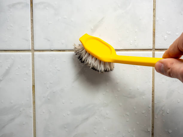 Best Health and Safety Mold Remediation in Harrogate, TN