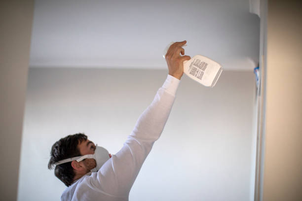 Best Post-Remediation Services in Harrogate, TN