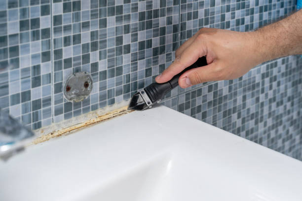 Best Residential Mold Remediation in Harrogate, TN