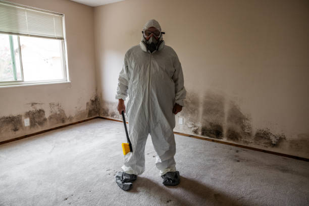 Best Mold Remediation for Specific Building Types in Harrogate, TN
